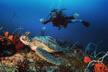 Gili Trawangan Island Diving