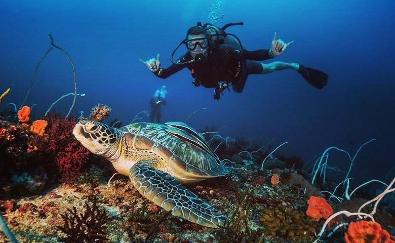 Gili Trawangan Island Diving